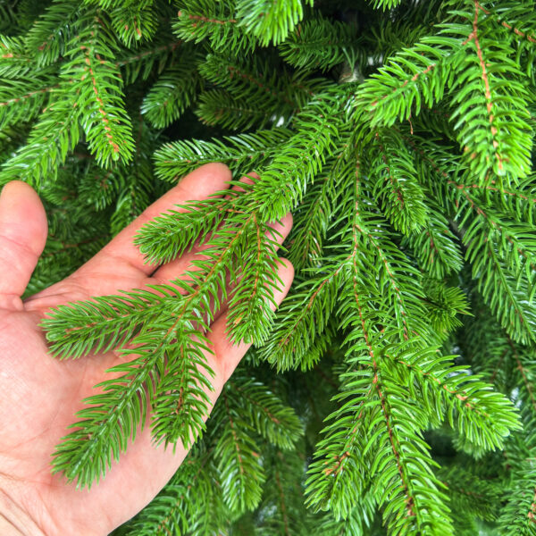 Brad artificial Sersimo, Alindra Elite, verde, integral 3D, 210 cm - imagine 10