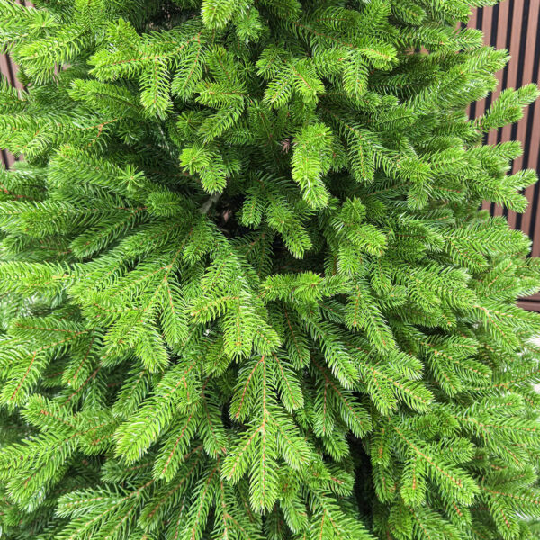 Brad artificial Sersimo, Alindra Elite, verde, integral 3D, 210 cm - imagine 11