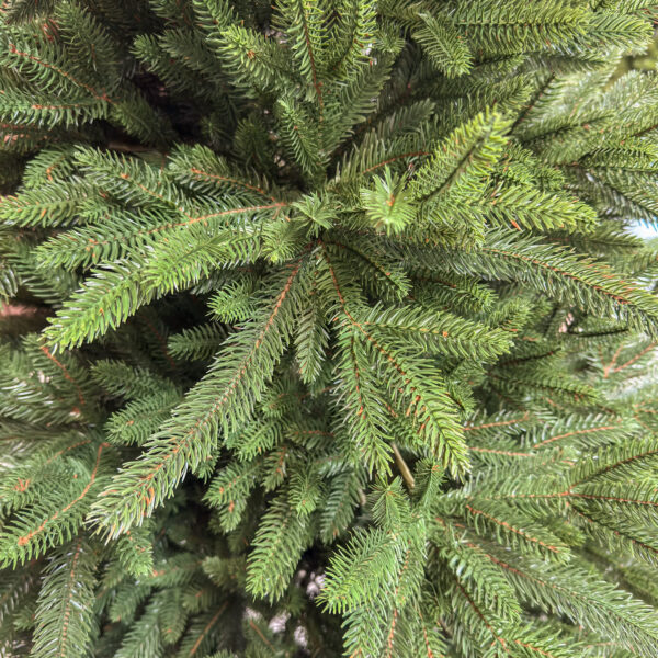 Brad artificial Sersimo, Alpine, verde, integral 3D, 210 cm - imagine 10