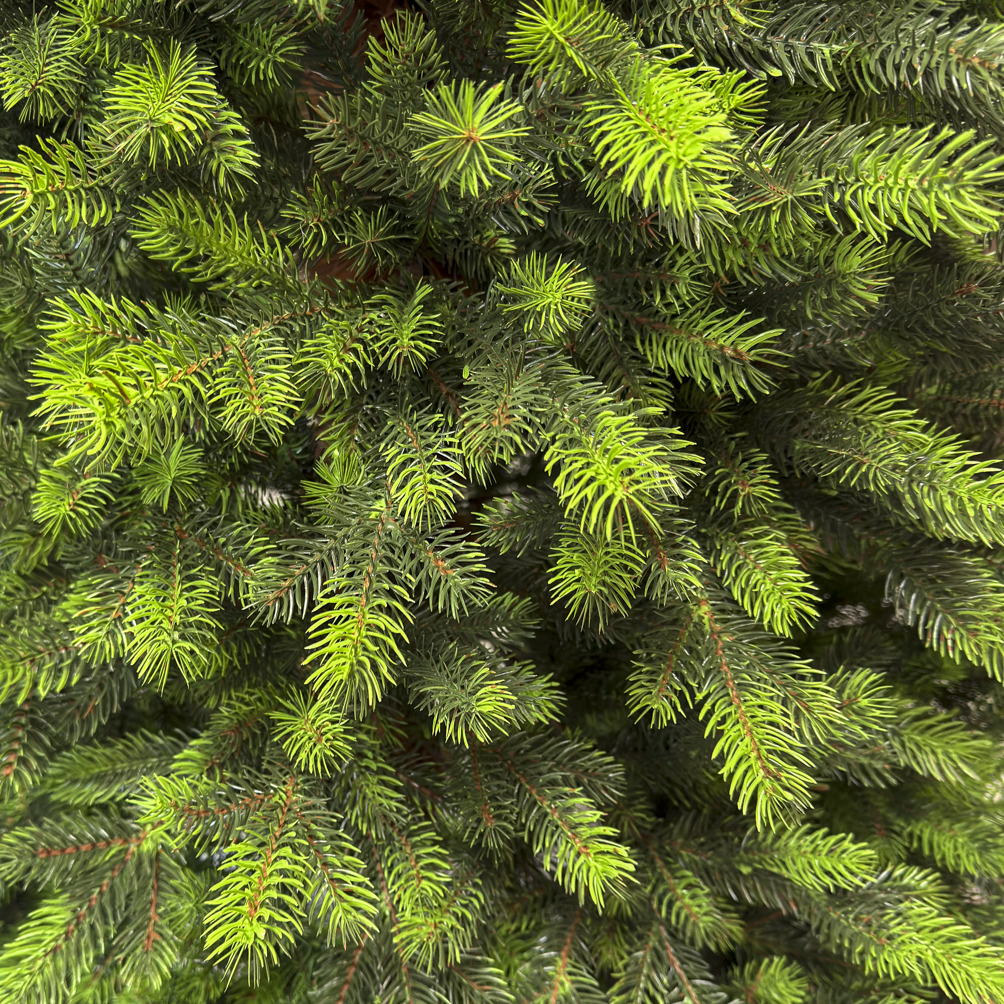 Brad artificial Sersimo, Hollandia, verde cu varfuri verzi, integral 3D, 180 cm - imagine 5