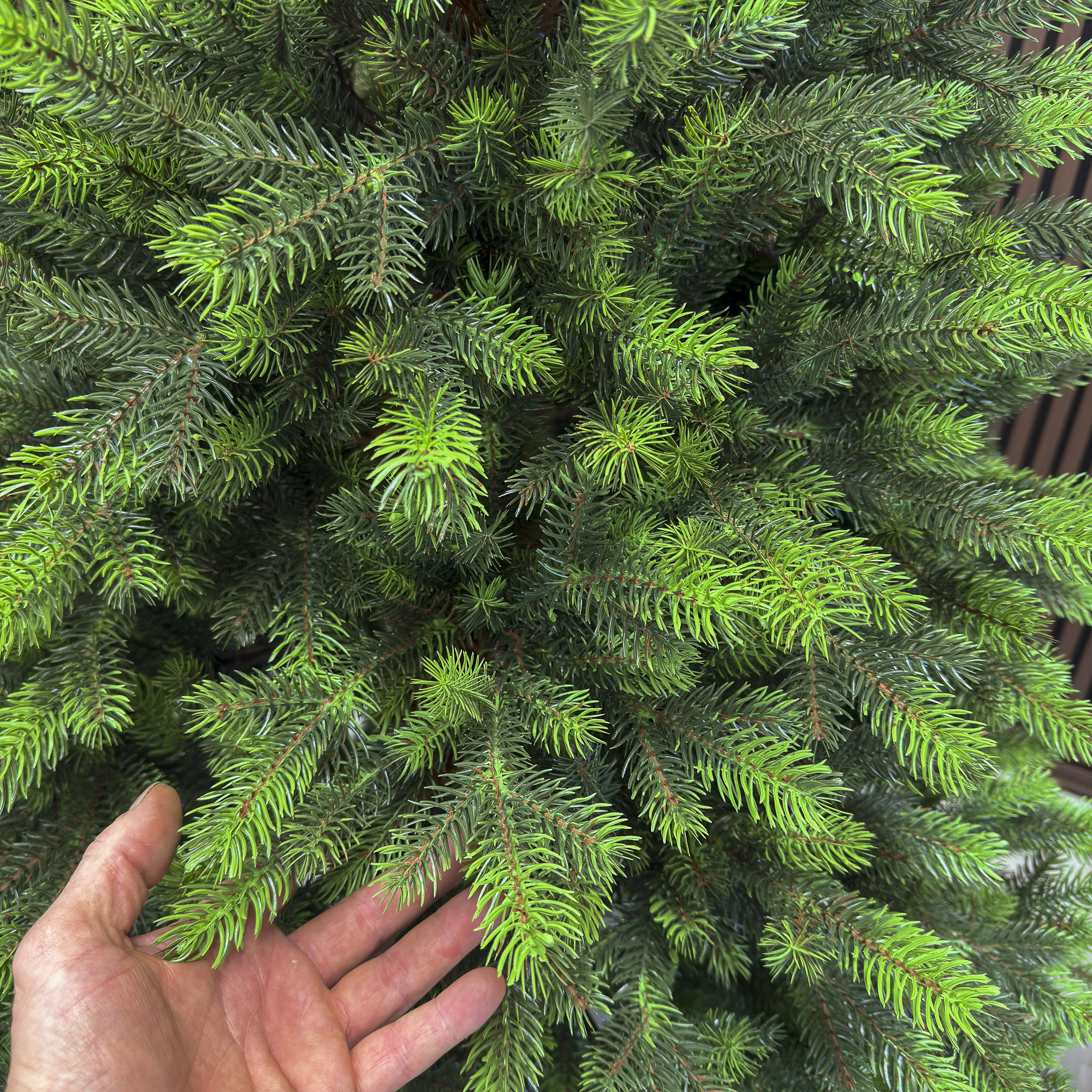 Brad artificial Sersimo, Hollandia, verde cu varfuri verzi, integral 3D, 180 cm - imagine 6