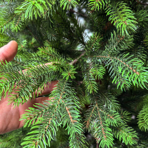 Brad artificial Sersimo, Hollandia, verde cu varfuri verzi, integral 3D, 210 cm - imagine 11