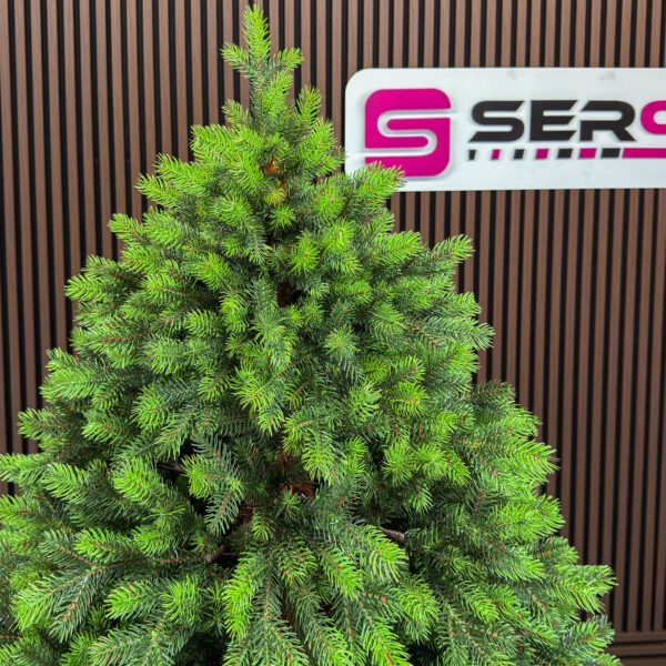 Brad artificial Sersimo, Hollandia, verde cu varfuri verzi, integral 3D, 210 cm - imagine 3