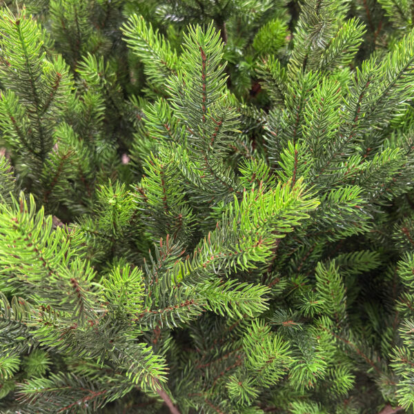 Brad artificial Sersimo, Hollandia, verde cu varfuri verzi, integral 3D, 210 cm - imagine 6