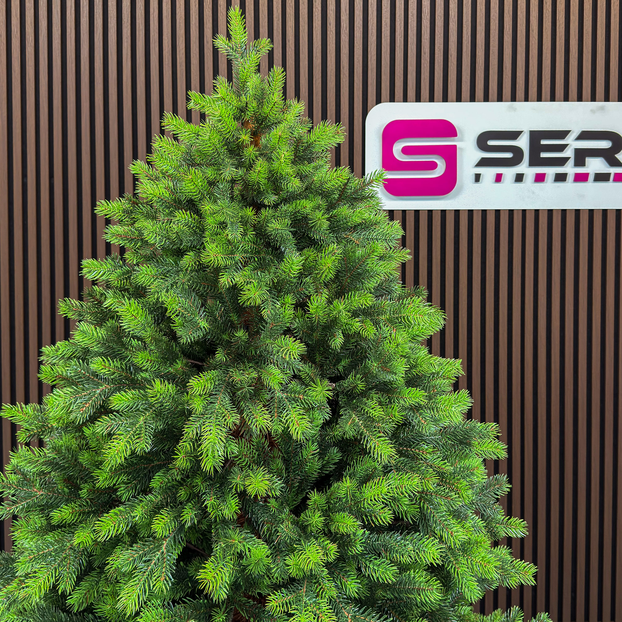 Brad artificial Sersimo, Hollandia, verde cu varfuri verzi, integral 3D, 250 cm - imagine 9