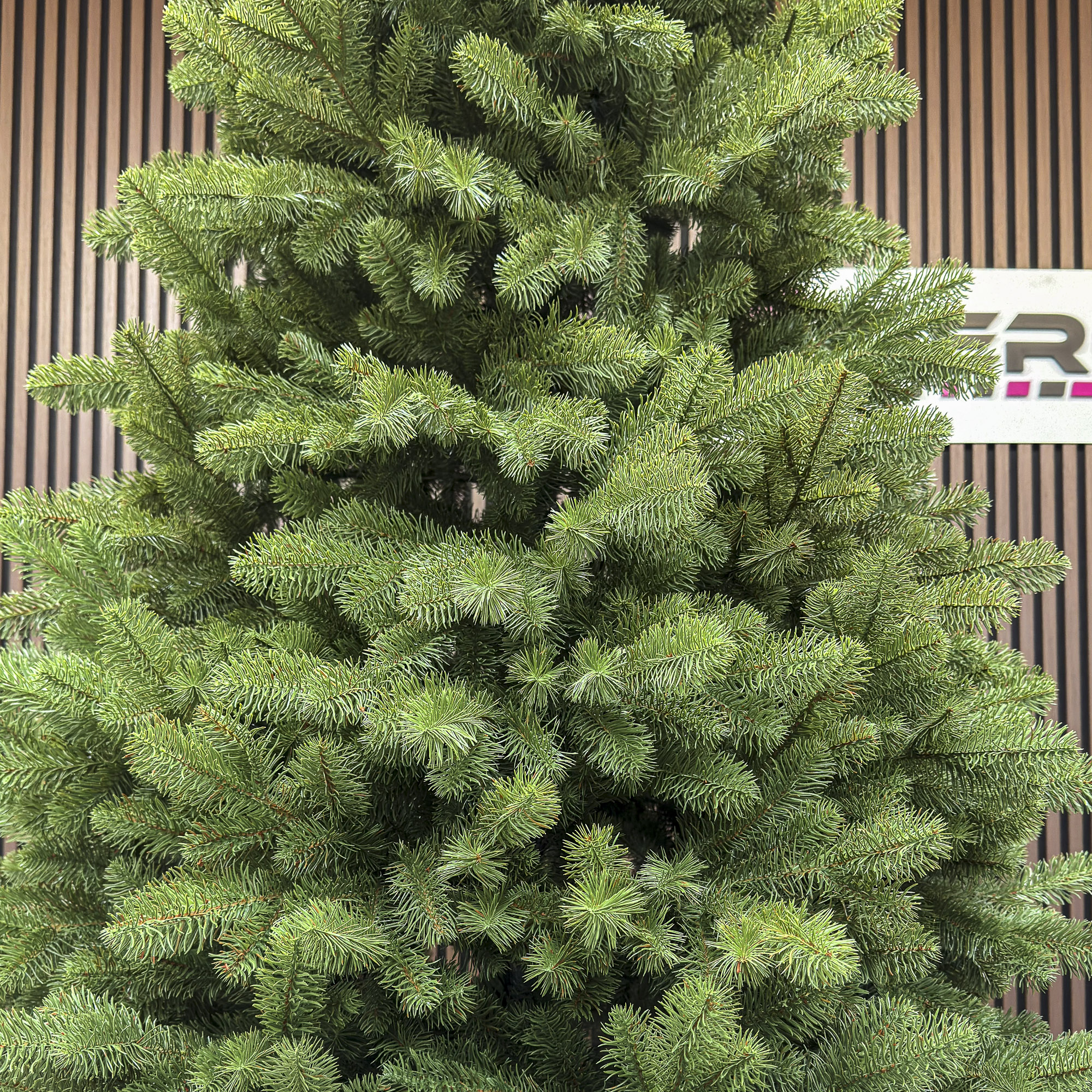 Brad artificial Sersimo, Silvee Elite, verde, integral 3D, 220 cm - imagine 5