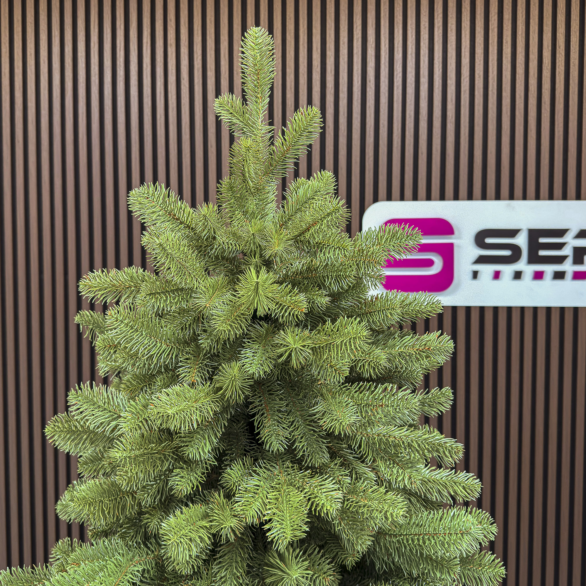 Brad artificial Sersimo, Silvee Elite, verde, integral 3D, 220 cm - imagine 8