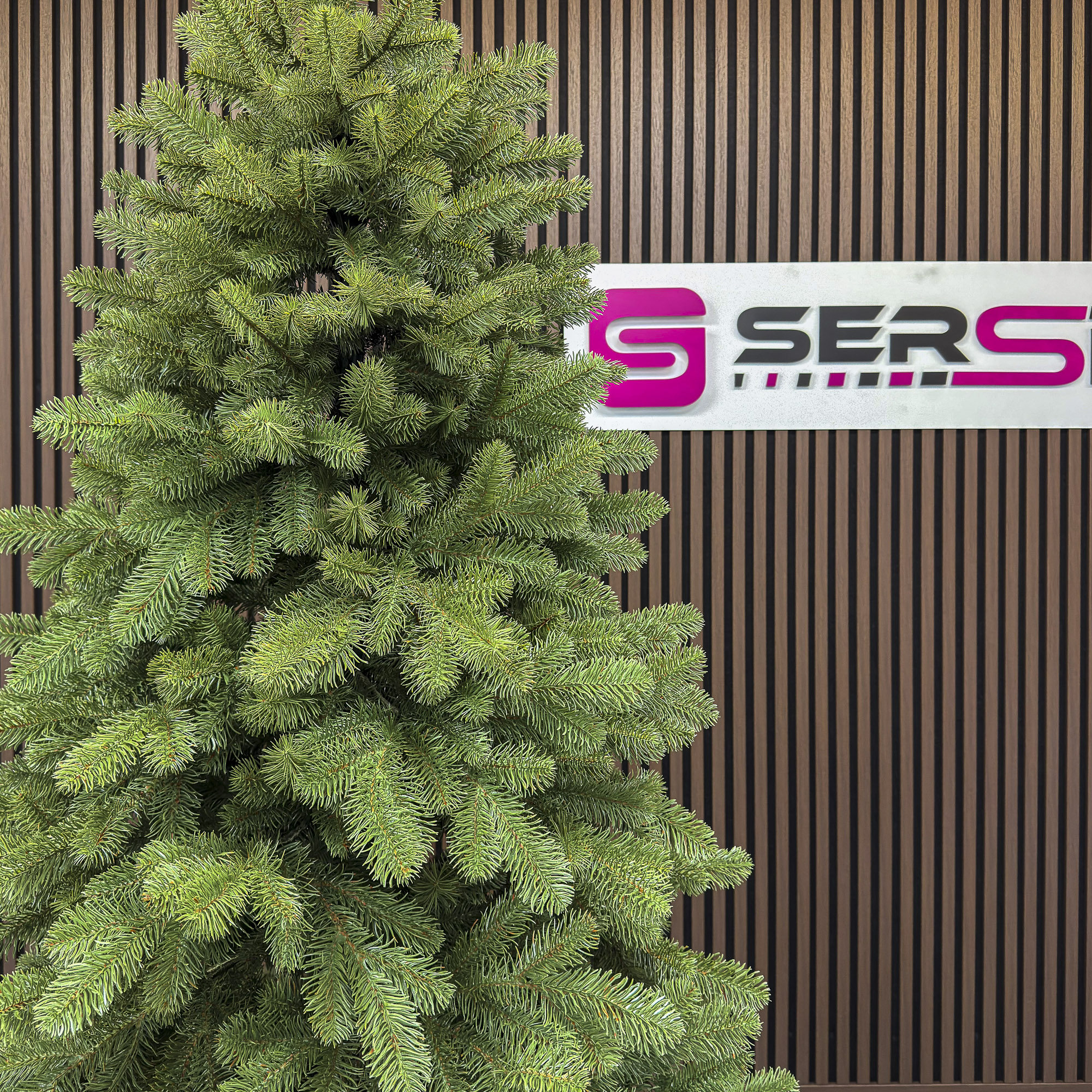 Brad artificial Sersimo, Silvee Elite, verde, integral 3D, 220 cm - imagine 11