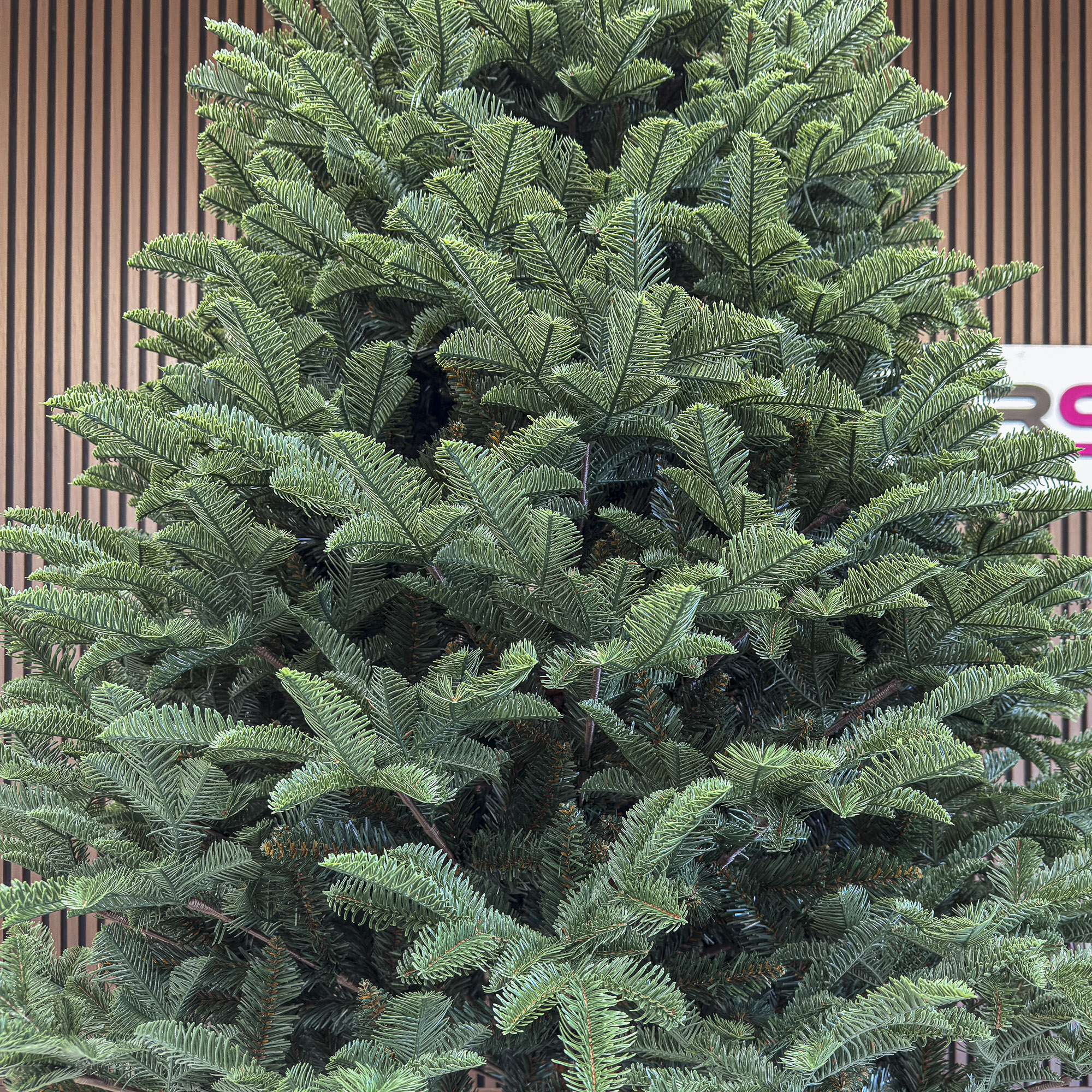 Brad artificial Christmas Deluxe by Sersimo, Alaska, verde, mix 2D+3D, 230 cm - imagine 5