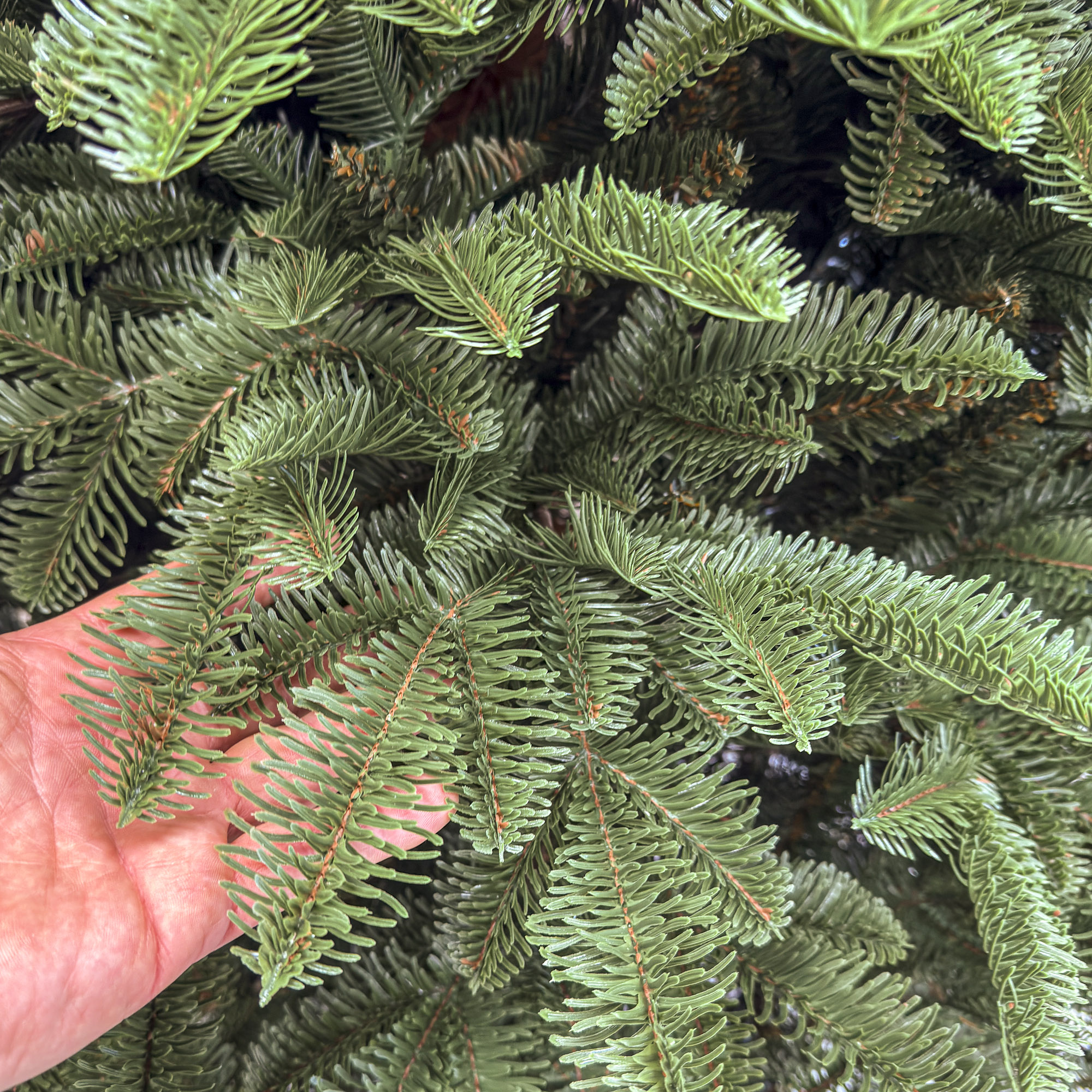 Brad artificial Christmas Deluxe by Sersimo, Alaska, verde, mix 2D+3D, 230 cm - imagine 9