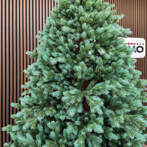 Brad artificial Sersimo, Hollandia, verde cu varfuri argintii, integral 3D, 230 cm - imagine 2