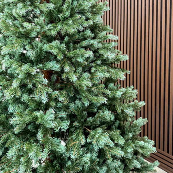 Brad artificial Sersimo, Hollandia, verde cu varfuri argintii, integral 3D, 230 cm - imagine 8