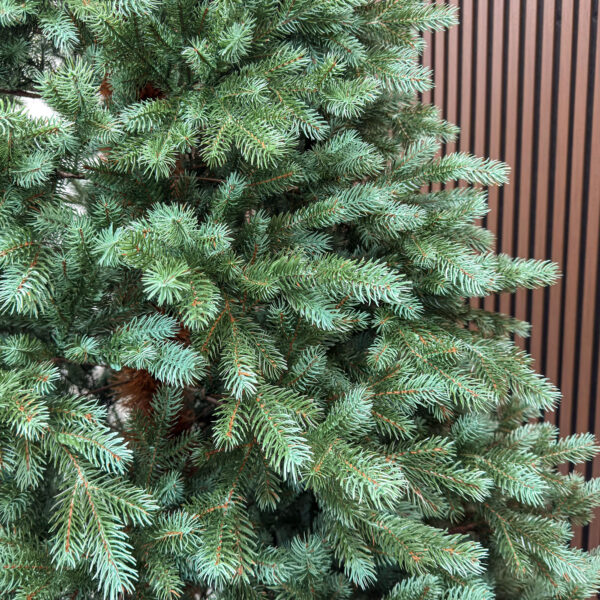 Brad artificial Sersimo, Hollandia, verde cu varfuri argintii, integral 3D, 230 cm - imagine 9