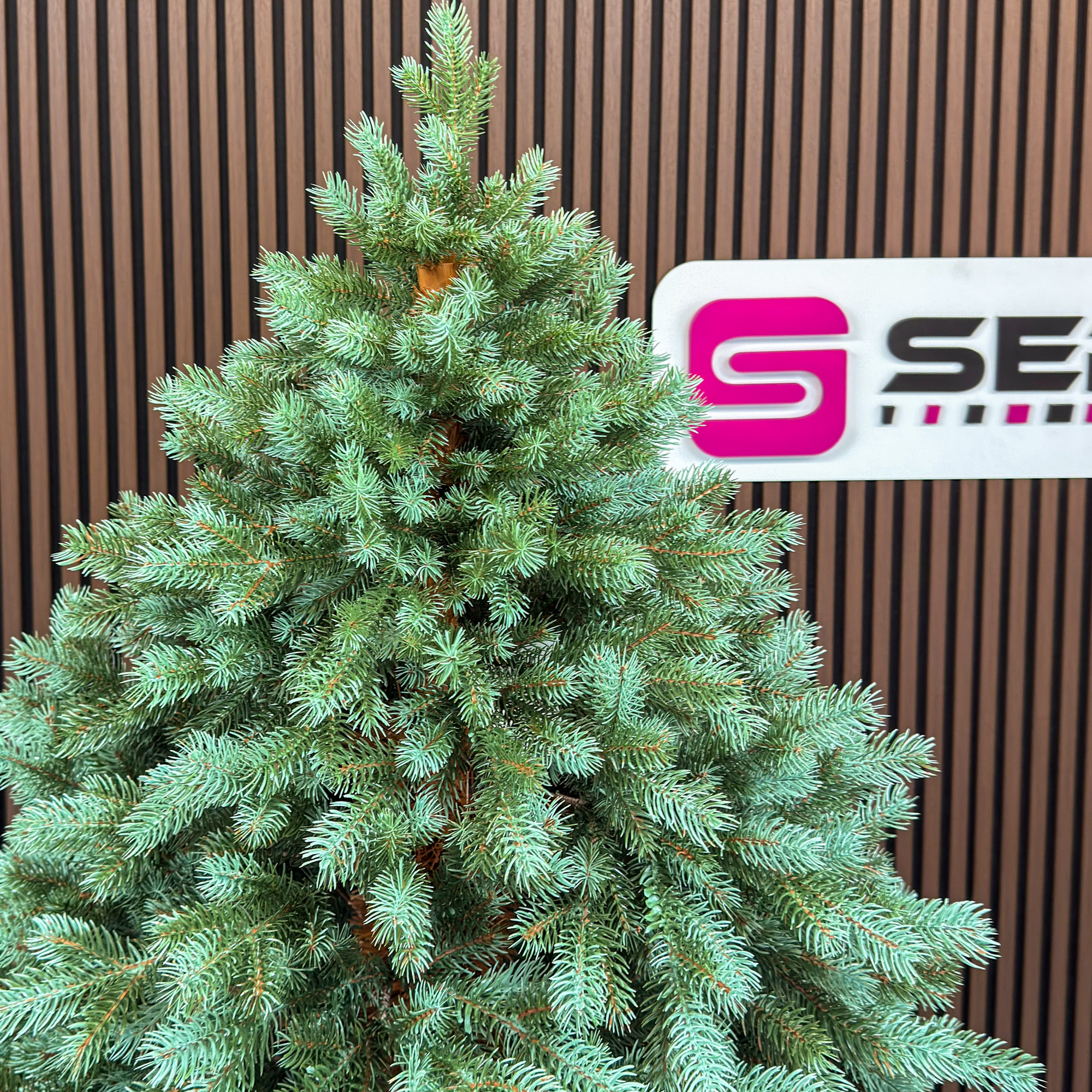 Brad artificial Sersimo, Hollandia, verde cu varfuri argintii, integral 3D, 250 cm - imagine 12