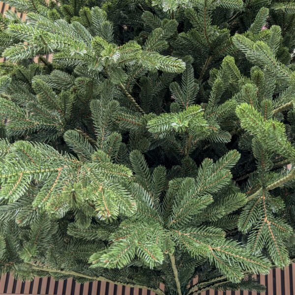 Brad artificial Christmas Deluxe by Sersimo, Viena Select, integral 3D, 300 cm - imagine 11