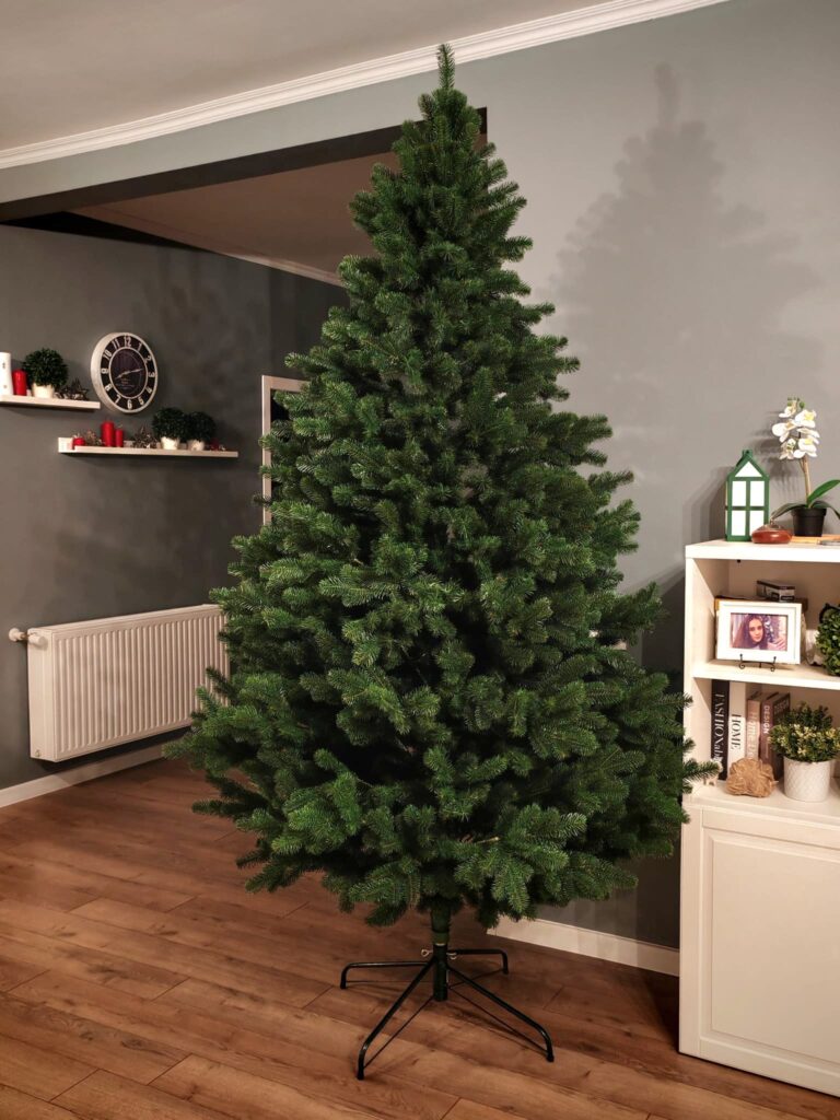 Image #1 from Madalina