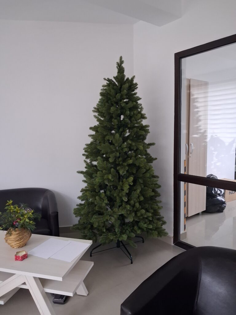 Image #2 from Andreea