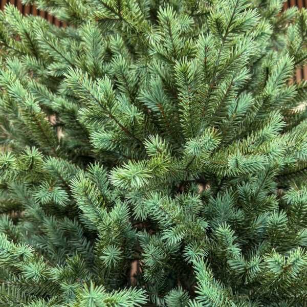 Brad artificial Sersimo, Scandinavia, verde cu varfuri argintii, integral 3D, 210 cm - imagine 10