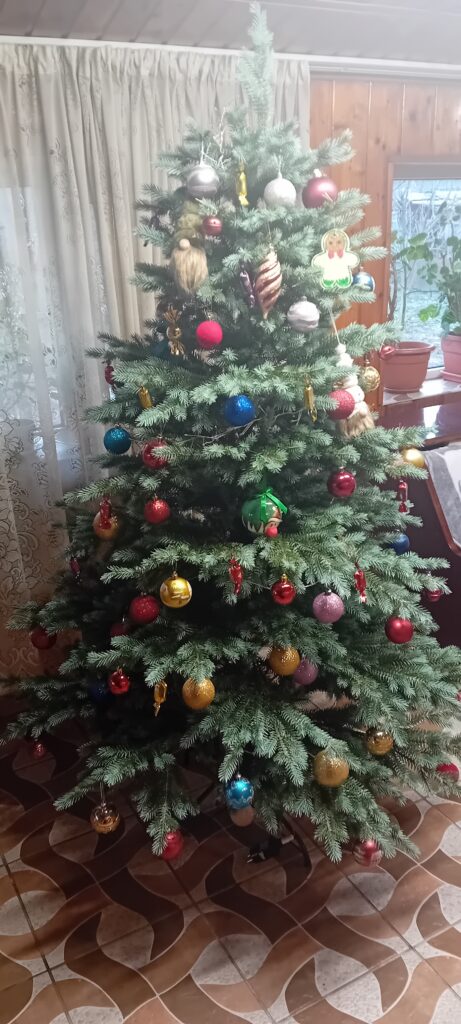 Image #1 from Maria Carmen Dumitrache