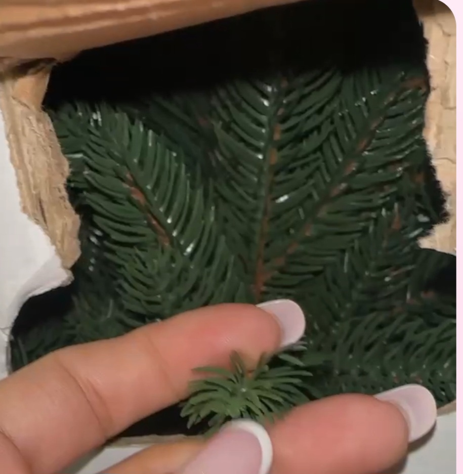 Image #1 from Anonymous