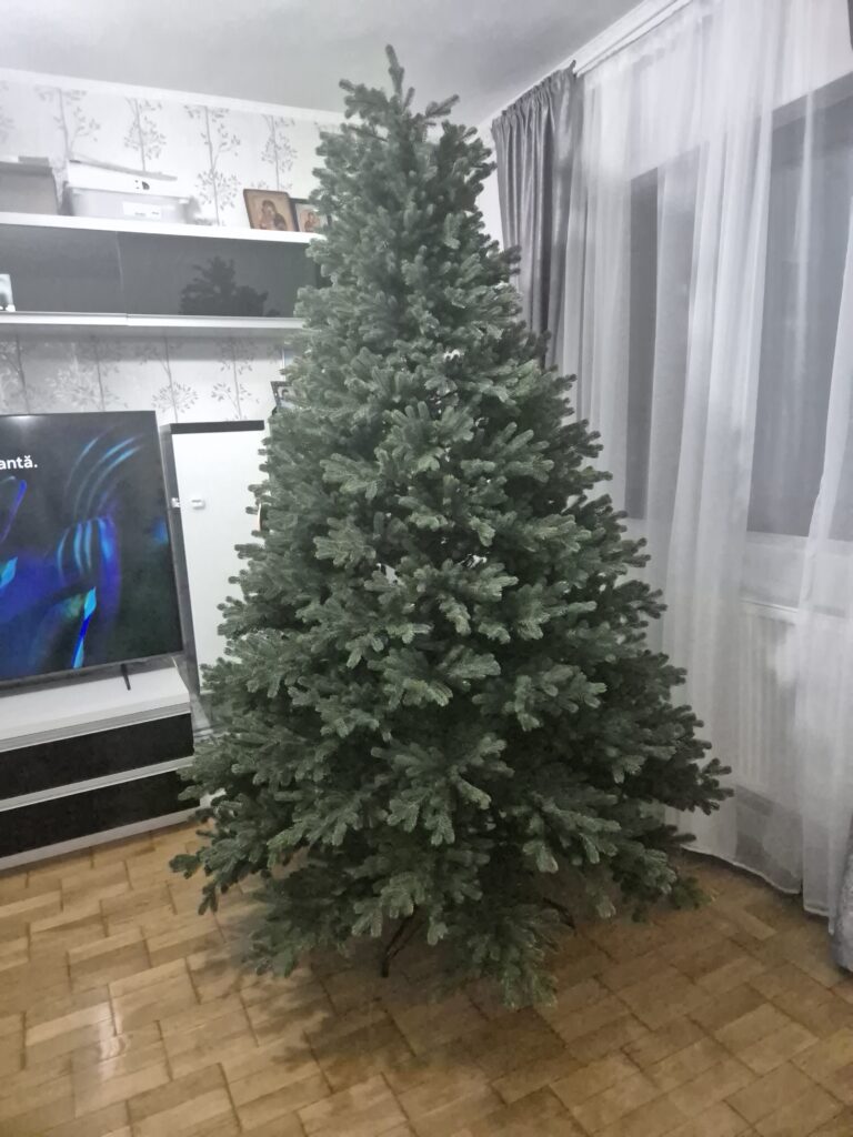 Image #1 from Cherciu Adriana