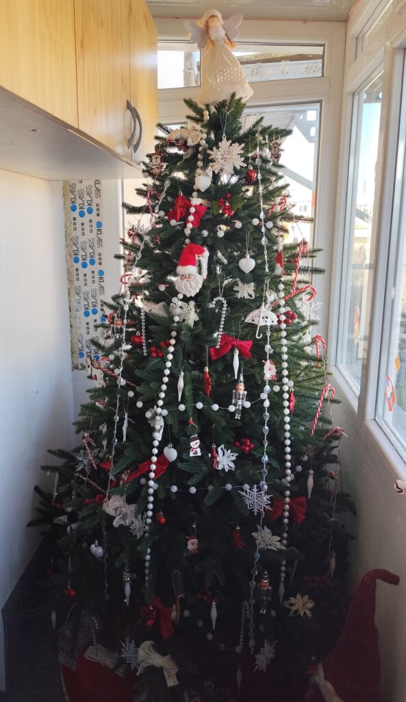 Image #1 from Alina Velișcu