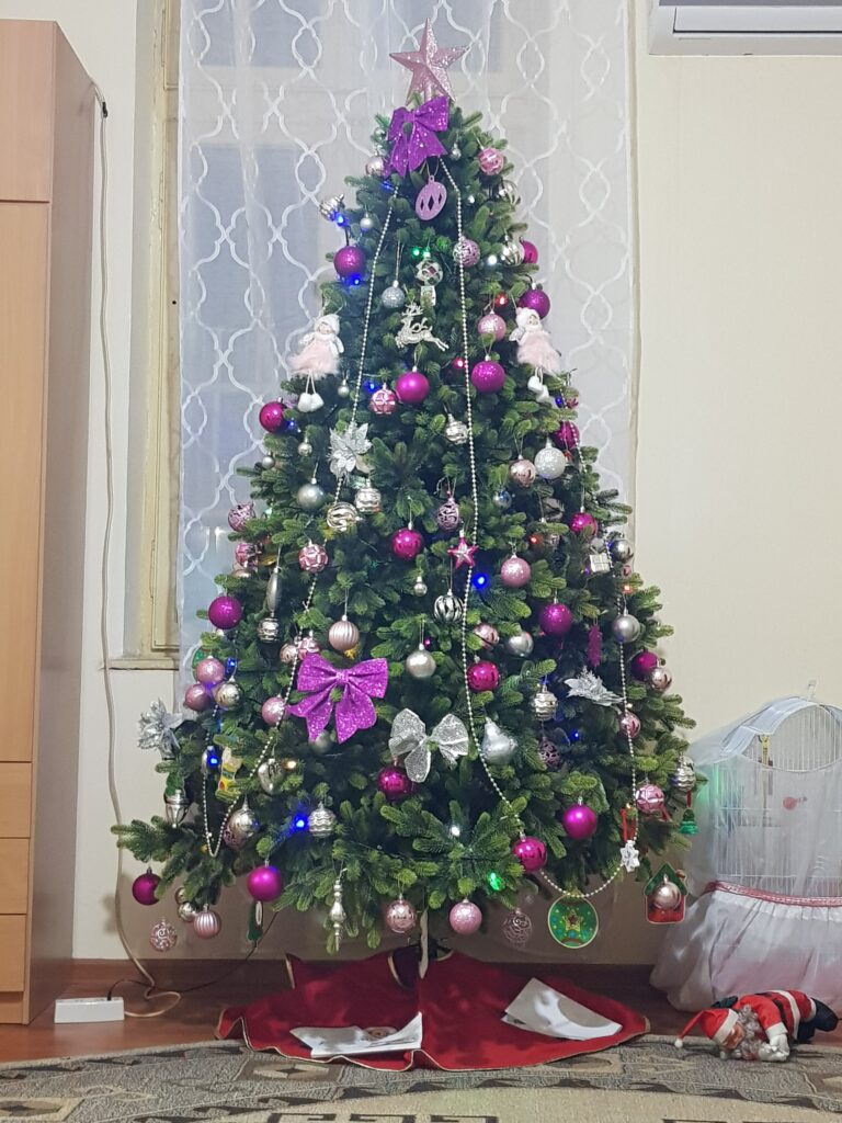 Image #1 from Iuliana B.