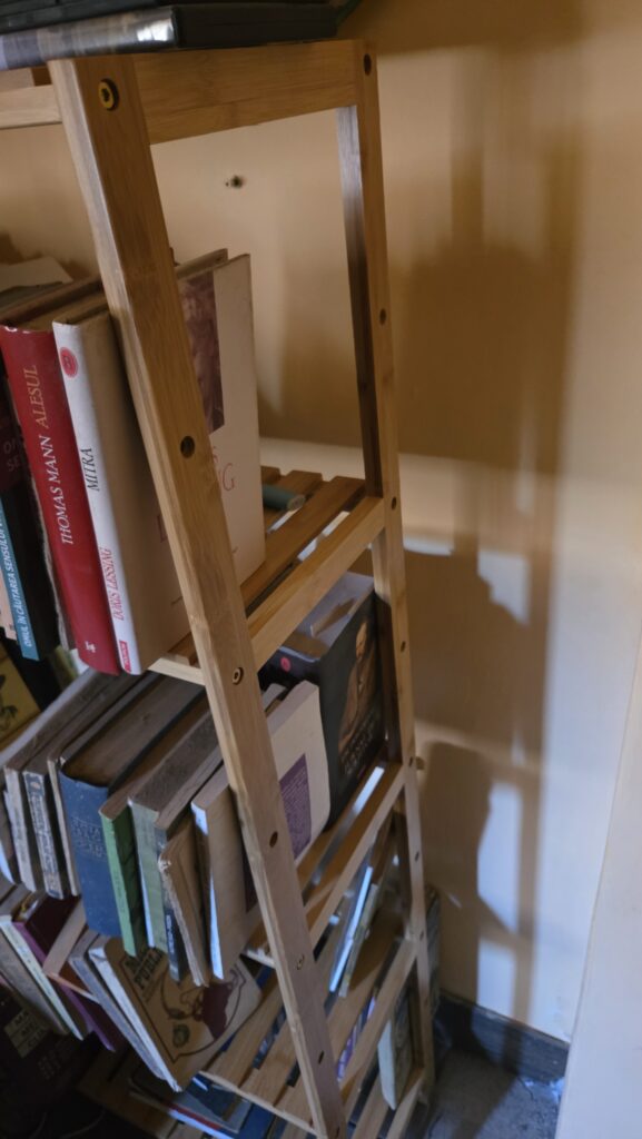 Image #1 from Anonymous