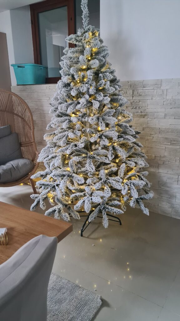 Image #1 from Anisoara Gologan