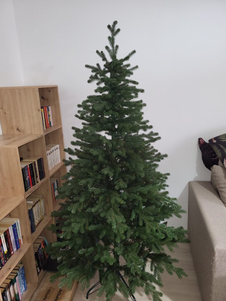 Image #1 from Anonymous