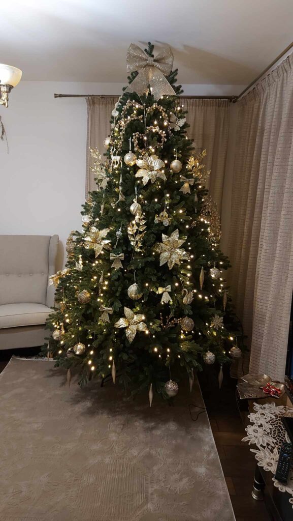 Image #3 from iulia bratcovici