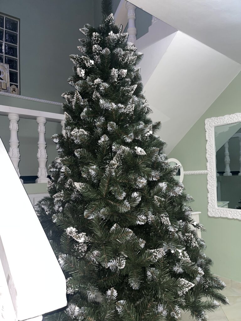 Image #1 from Angi S.