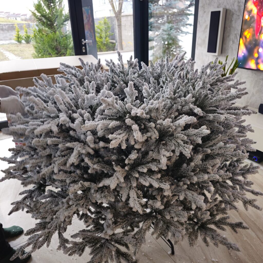 Image #2 from Simona