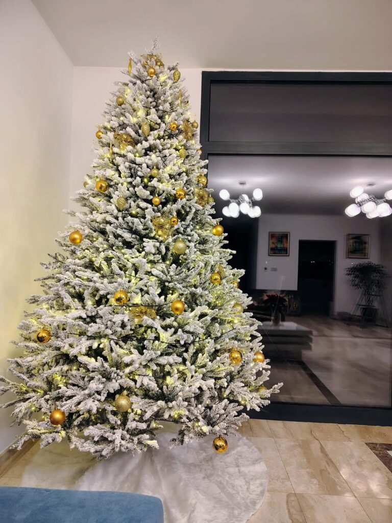 Image #1 from Simona