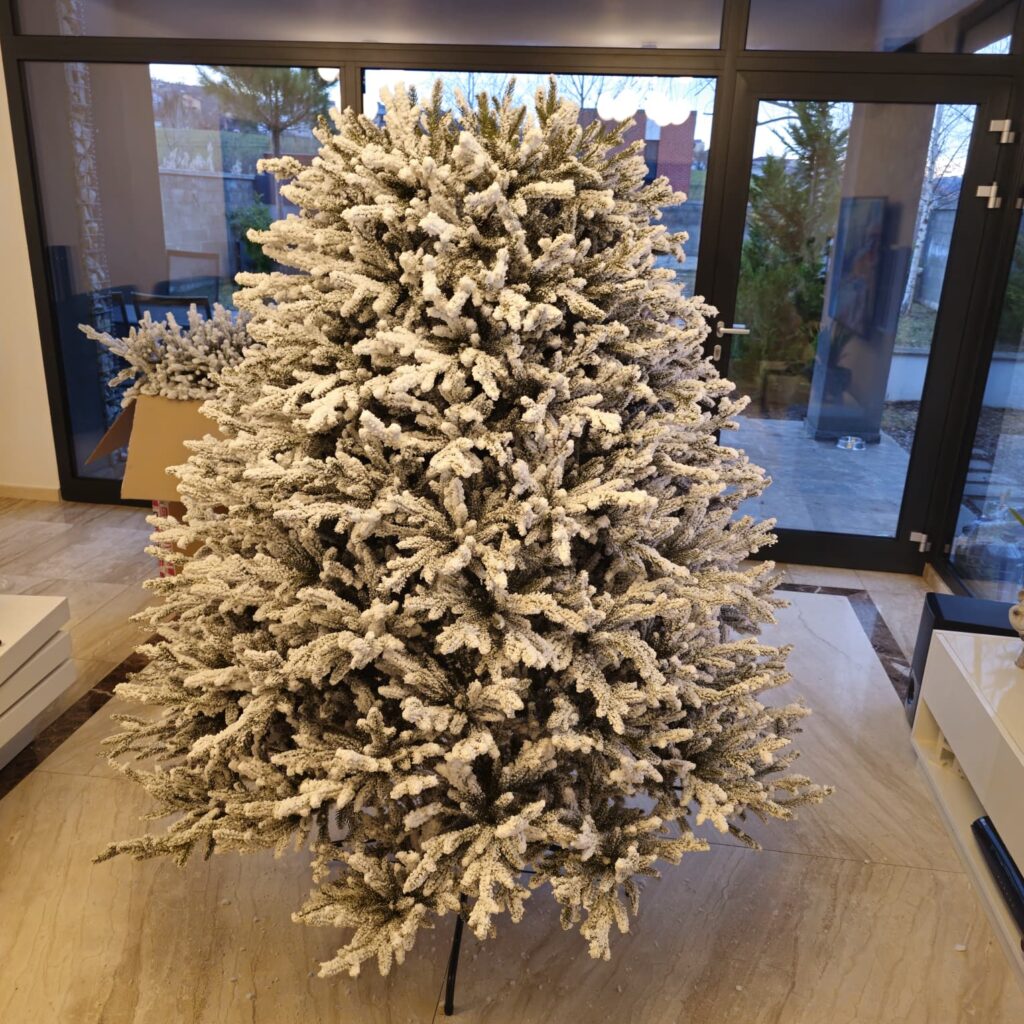 Image #4 from Simona