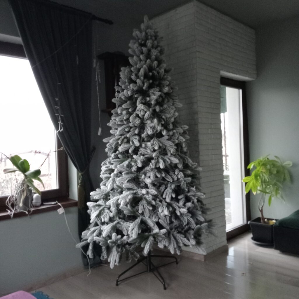 Image #1 from Corina