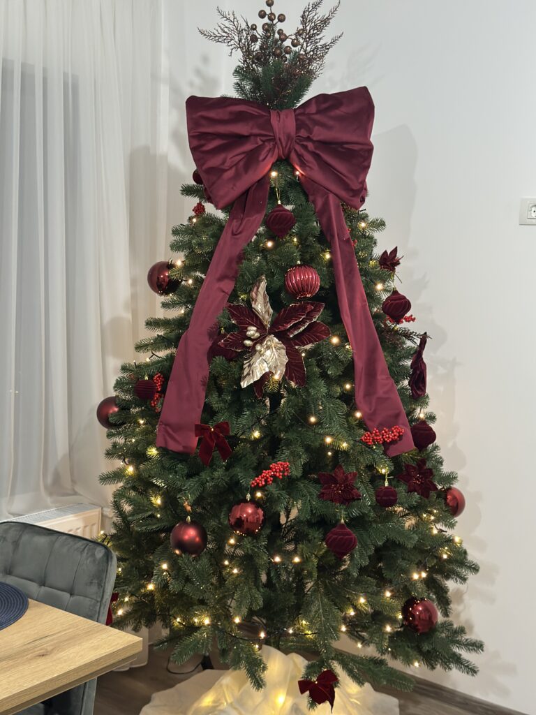 Image #1 from Andreea Spaimus