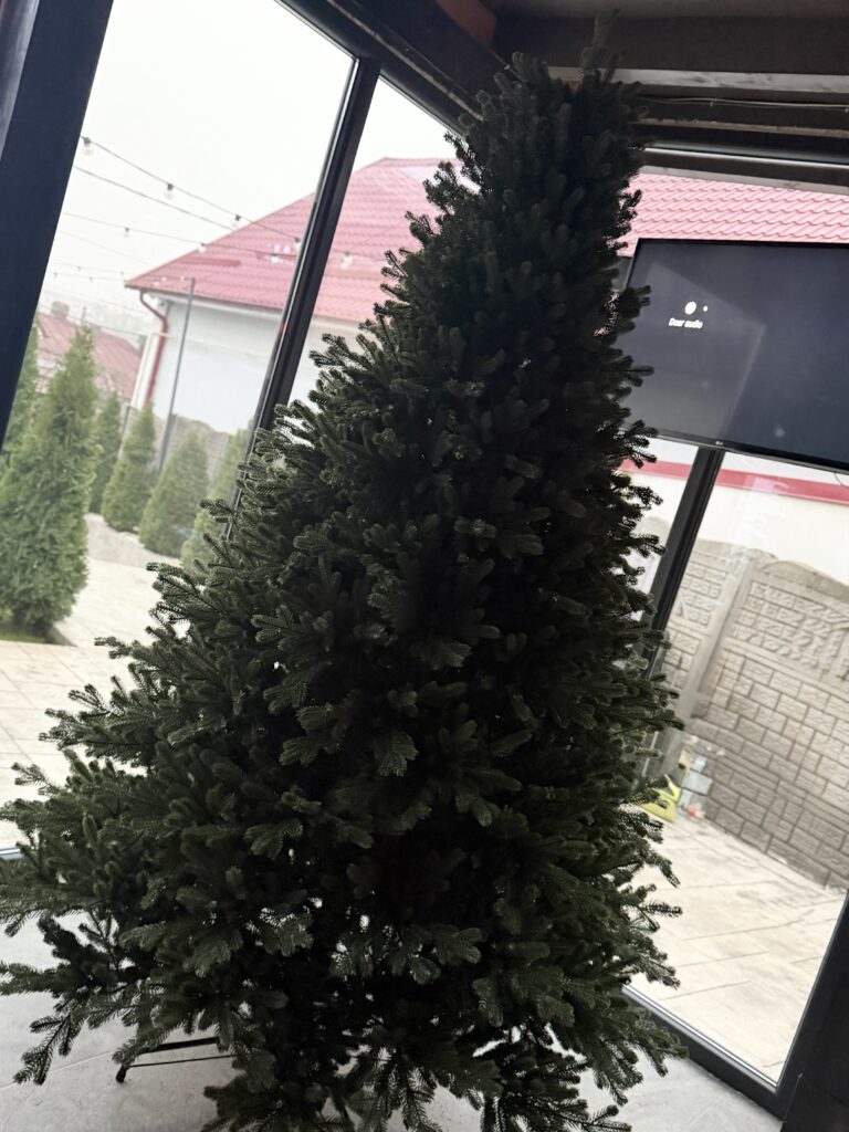 Image #1 from Andreea Stanculet