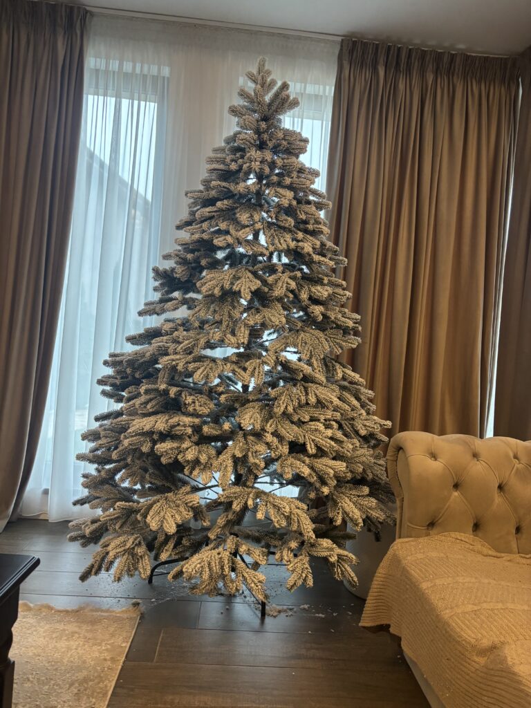 Image #1 from Anonymous