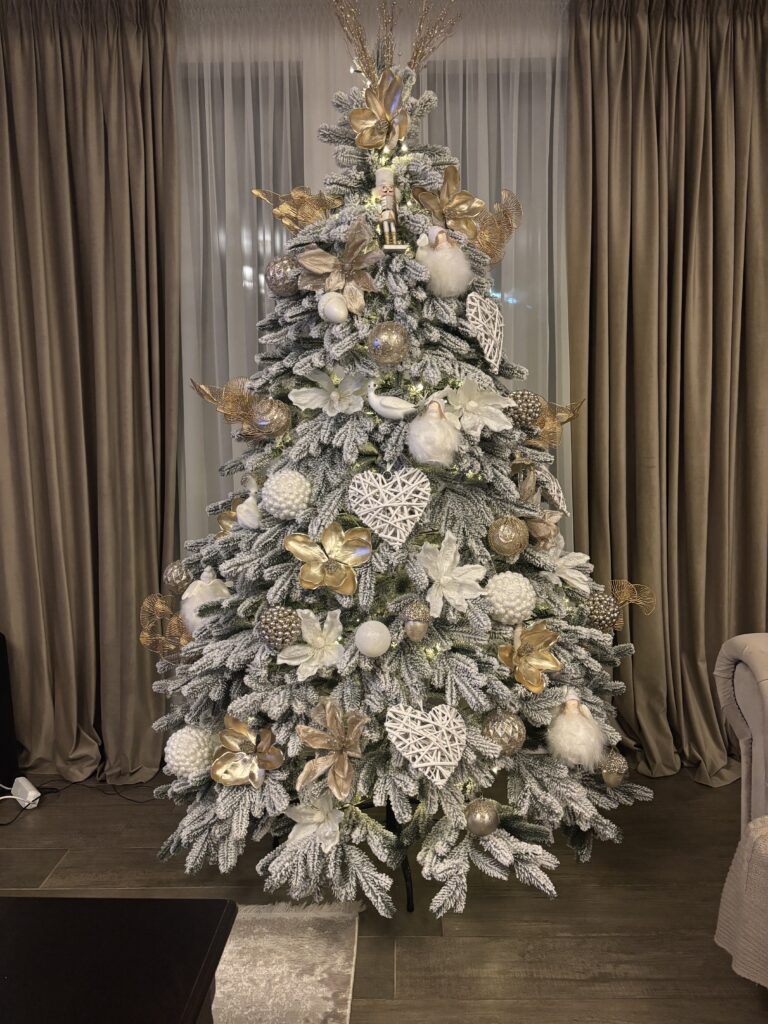 Image #2 from Anonymous