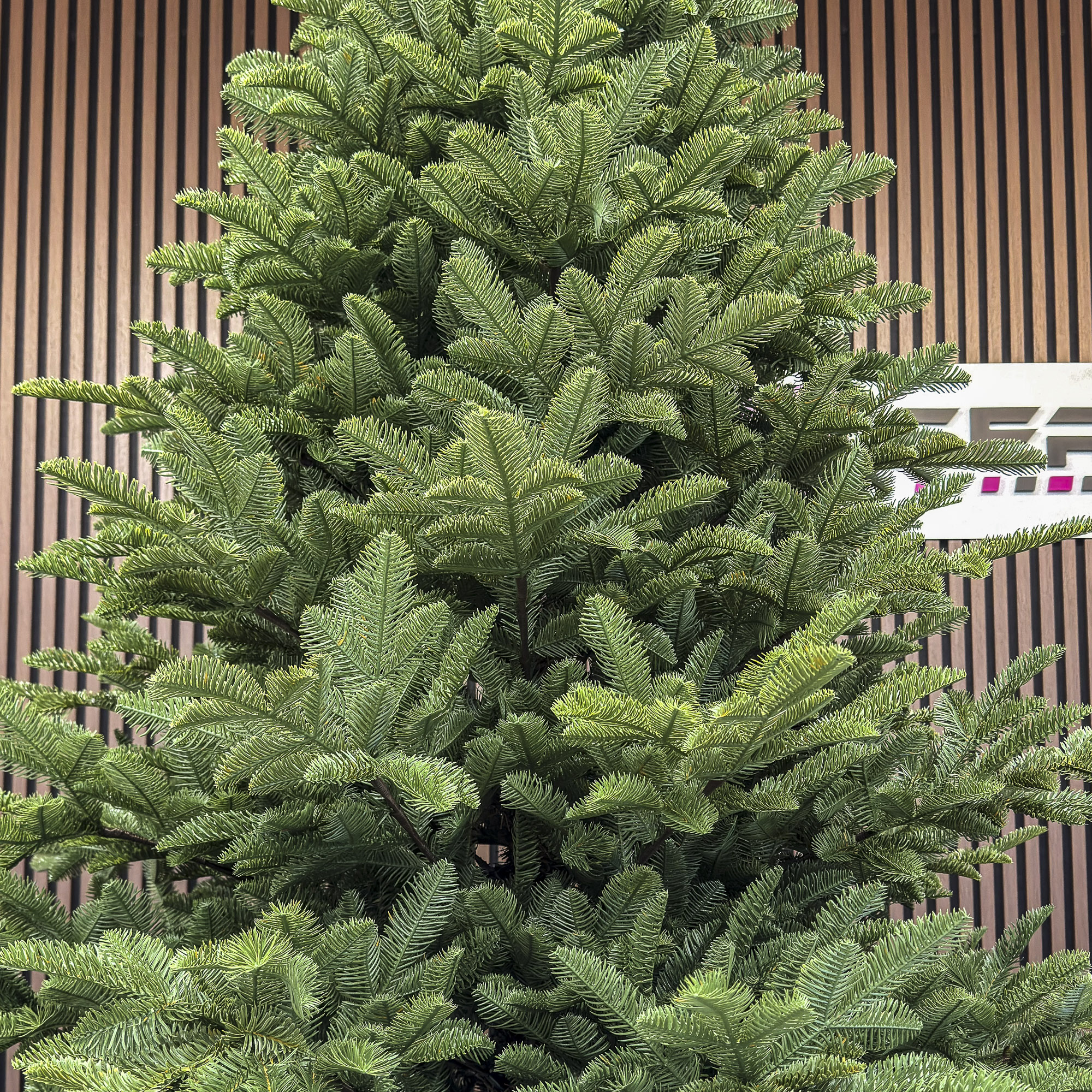 Brad artificial Sersimo, Mariális Elite, verde, integral 3D, 230 cm - imagine 8