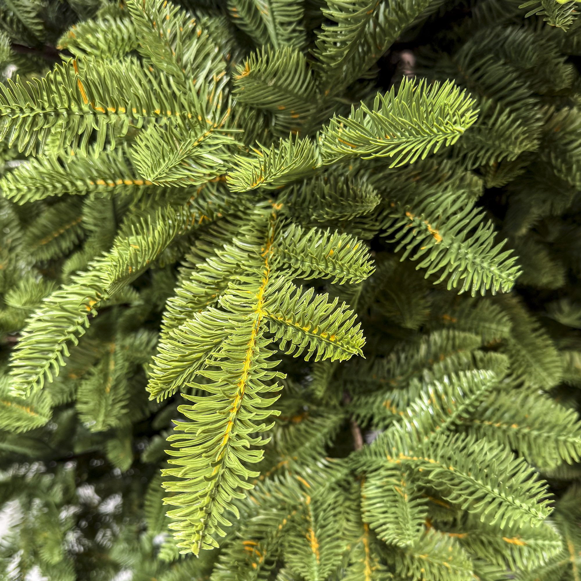 Brad artificial Sersimo, Mariális Elite, verde, integral 3D, 230 cm - imagine 11