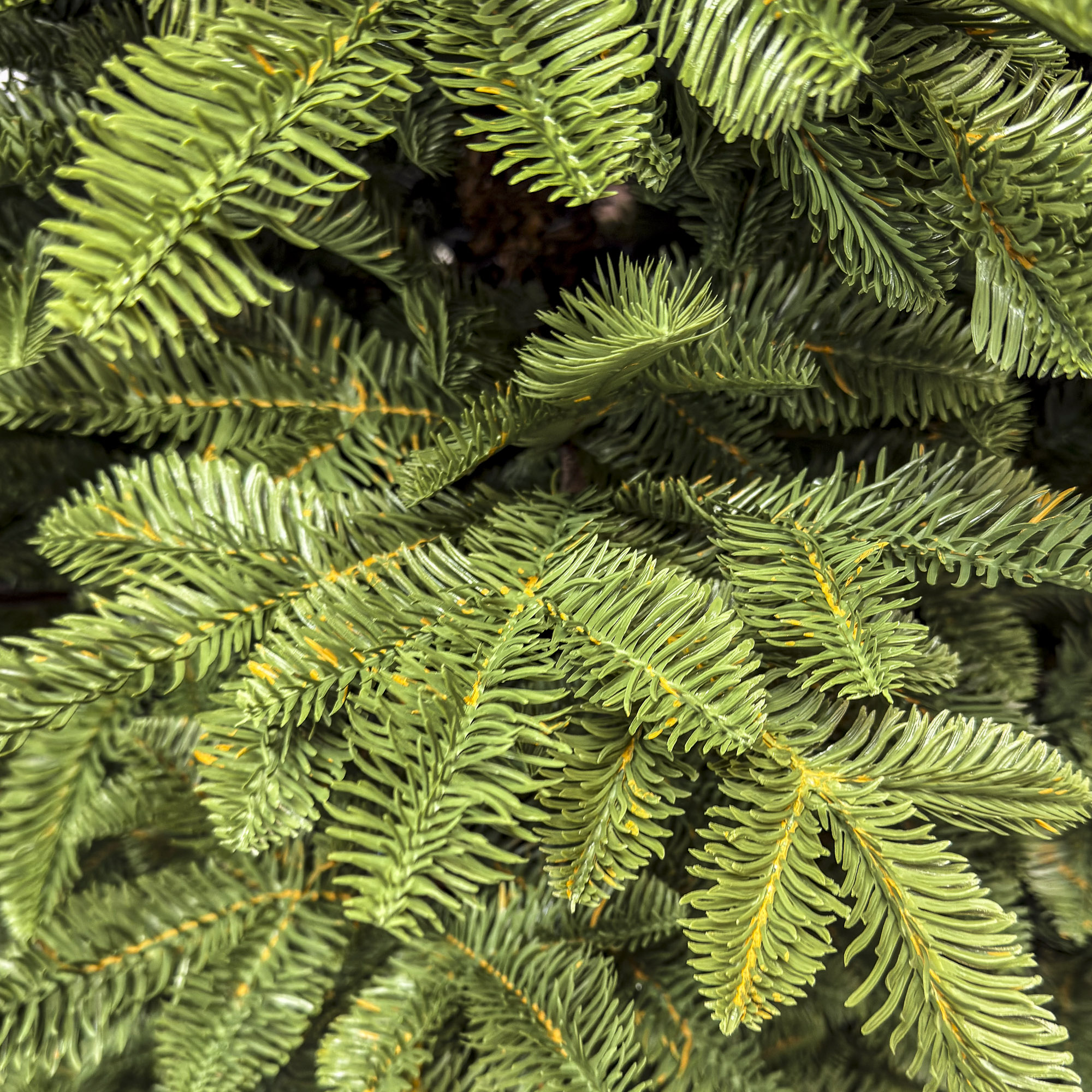 Brad artificial Sersimo, Mariális Elite, verde, integral 3D, 230 cm - imagine 12