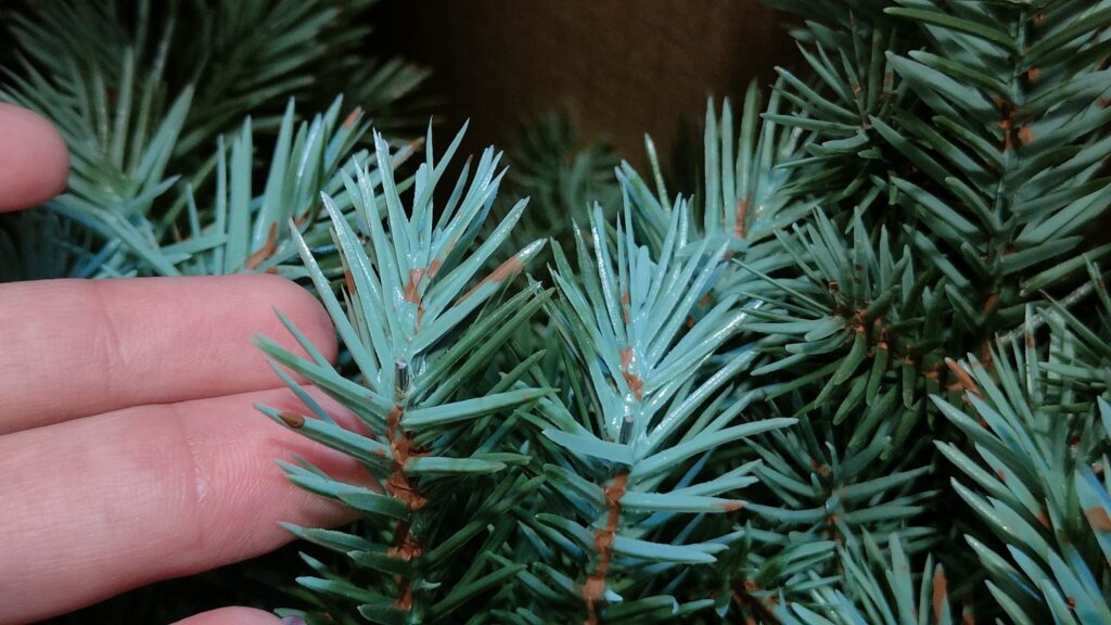 Image #1 from Anonymous