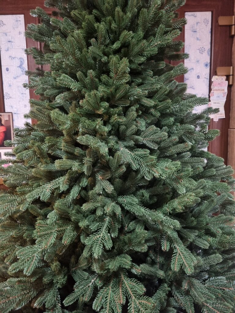 Image #1 from Vaduva Zoia