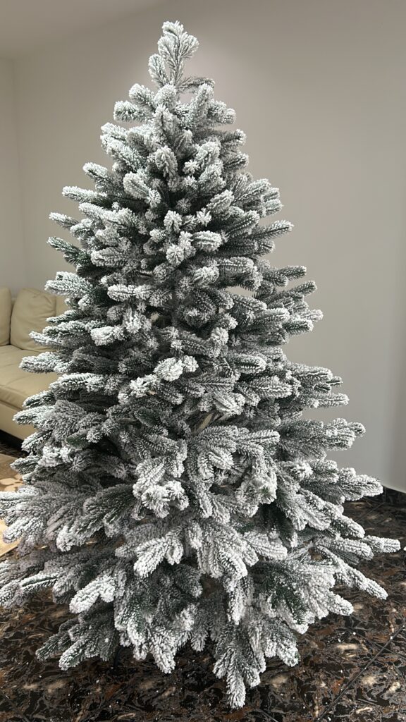 Image #1 from Diana Popa