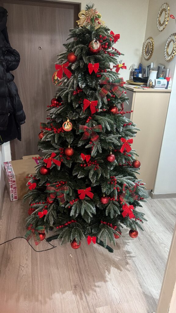 Image #1 from Neder Adina