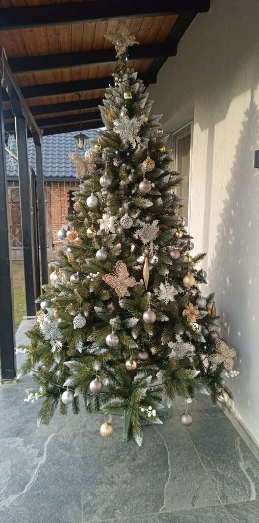 Image #1 from Antonia Revnic