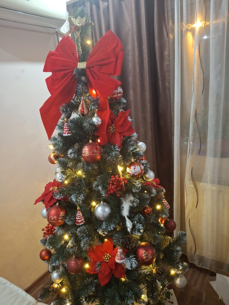 Image #1 from Hobjila Manuela