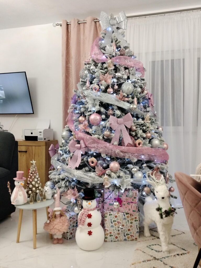 Image #1 from Ioan Vasile David